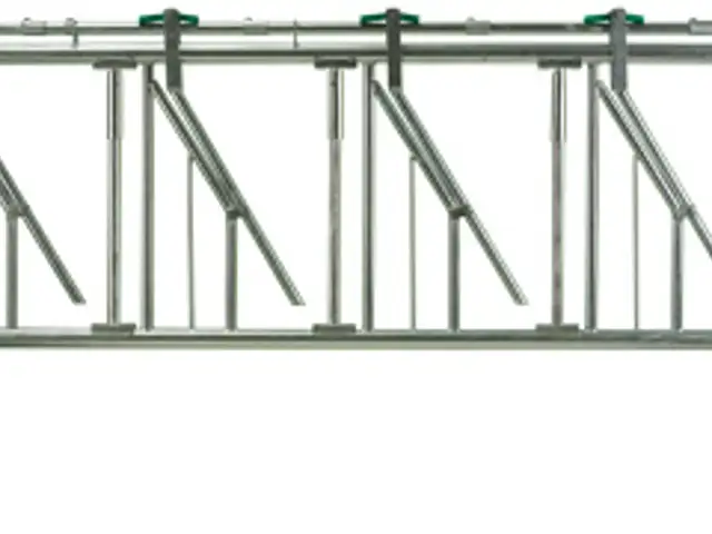 Fanggitter til malkekøer