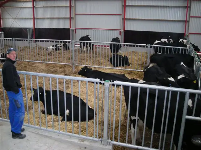 Mellemgitter med tremmer