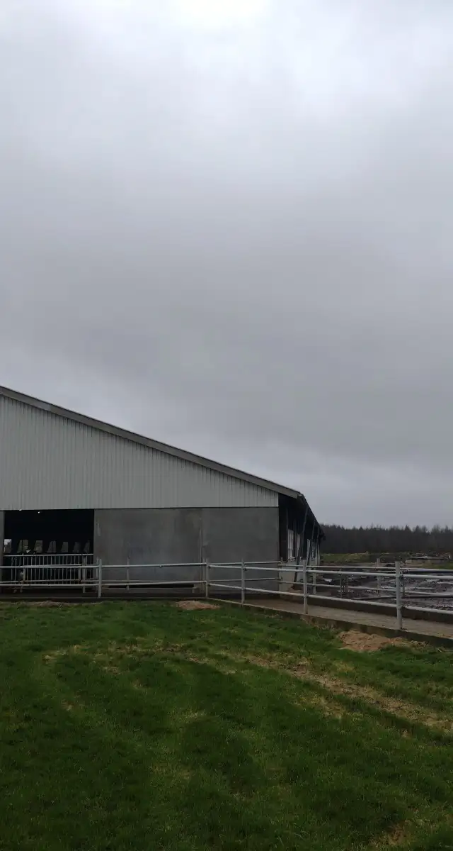 Ny velfærdsstald i Årre