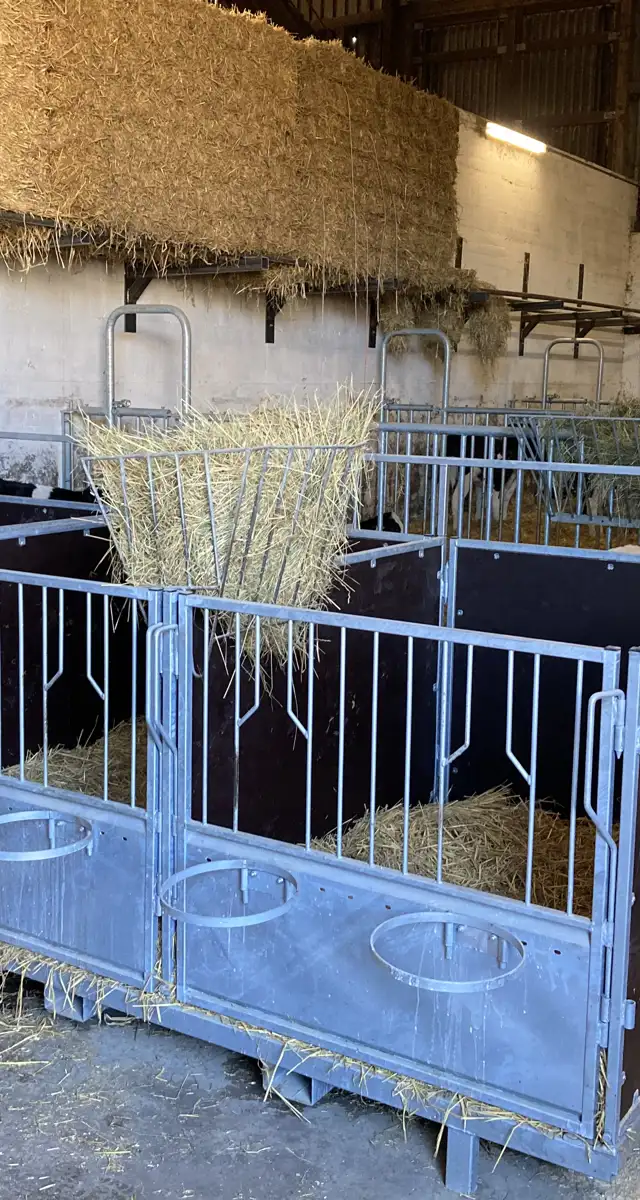 Ombygning af kalvestald i Fårup