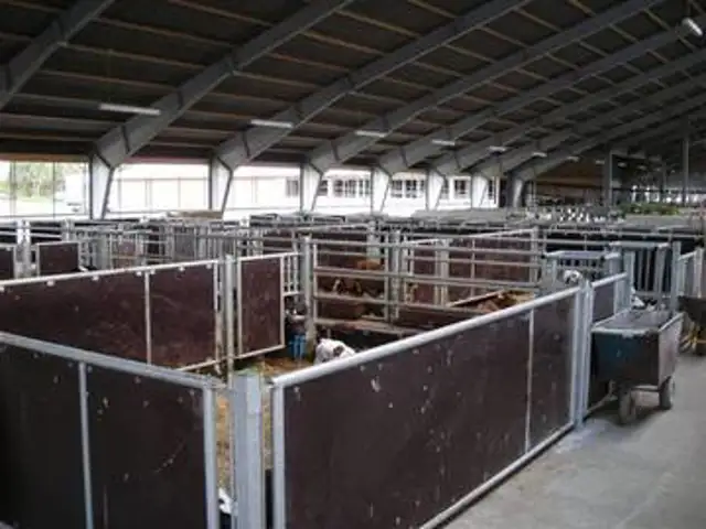 Mellemgitter med plade