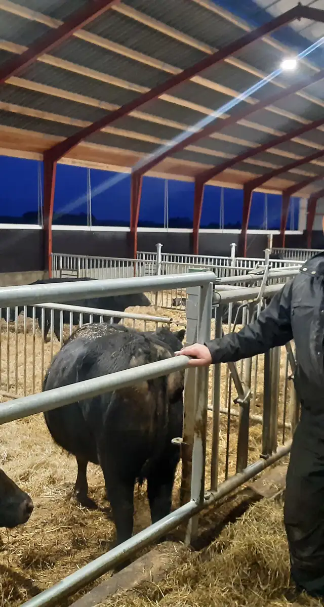 Ombygning i Skanderborg