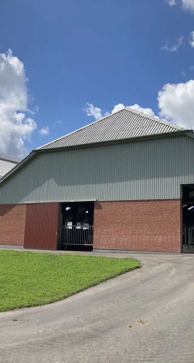 Nybygget robotstald til 420 køer