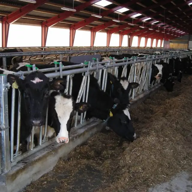 Ny stald? Vi er klar på sparring